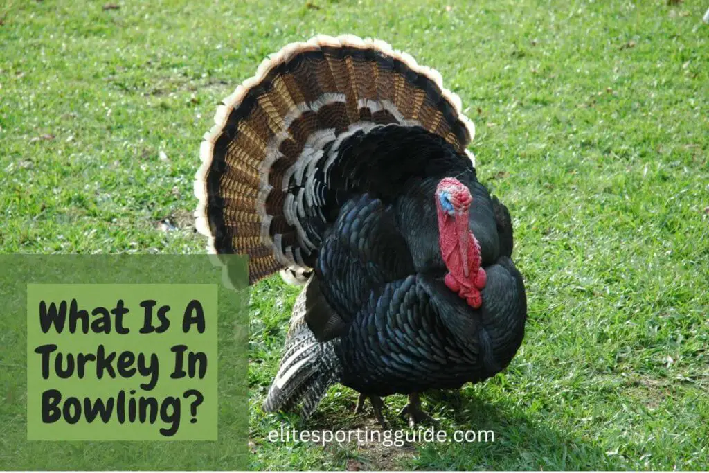 what is a turkey in bowling?