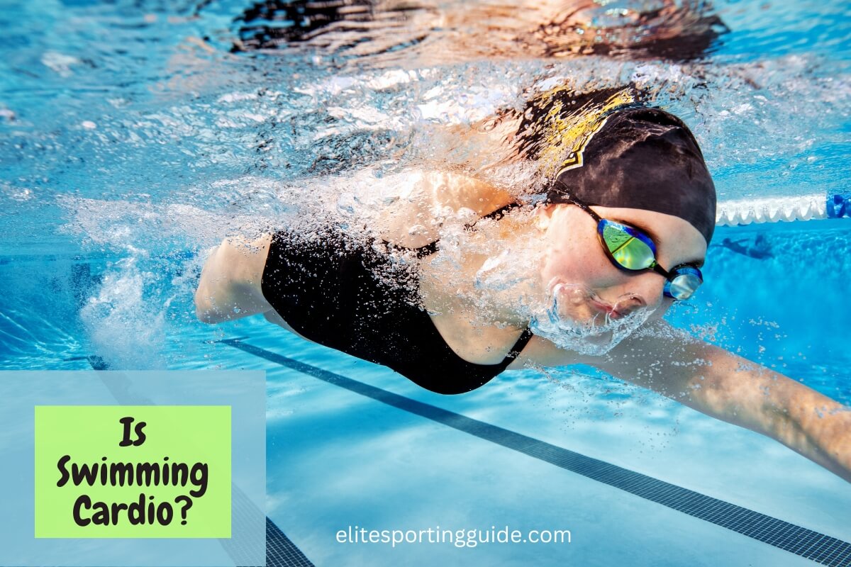 Is Swimming Cardio? The Cardiovascular Edge Of Swimming Elite Sporting Guide