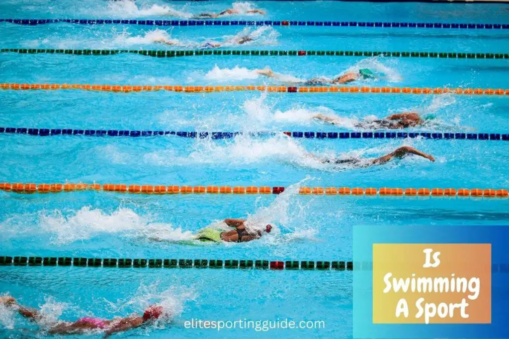 is swimming a sport